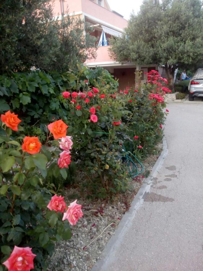 Jovici  Apartment Olive מראה חיצוני תמונה